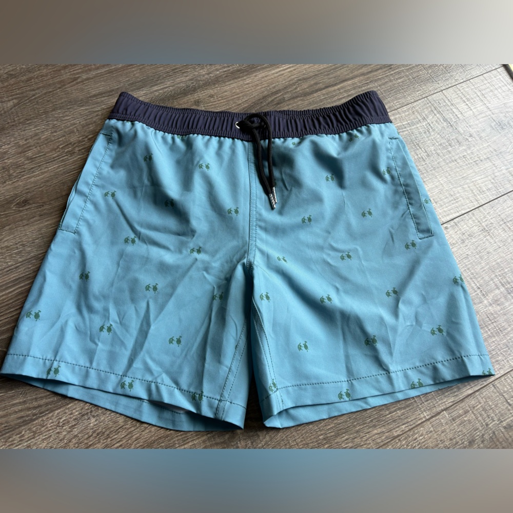 Blue Grateful Dead Swim Shorts with Green turtle Accents